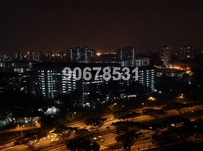 Blk 171 Bukit Batok West Avenue 8 (Bukit Batok), HDB 5 Rooms #52095922